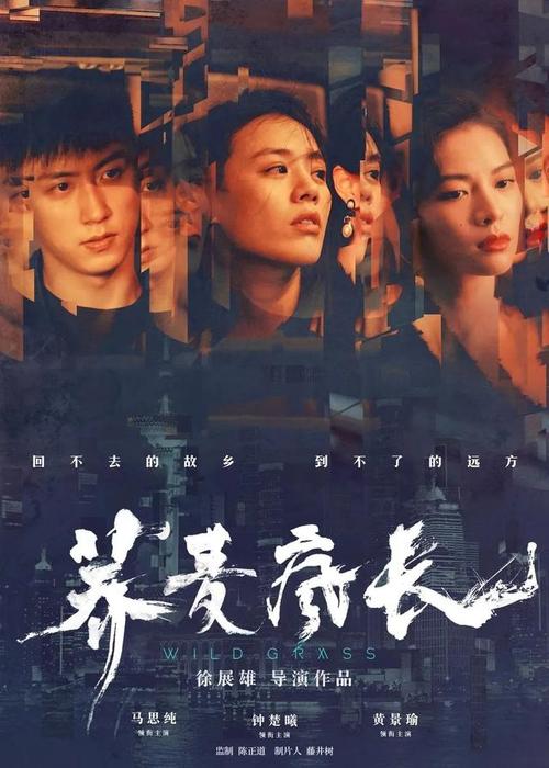 仿制巴哈马驾驶证